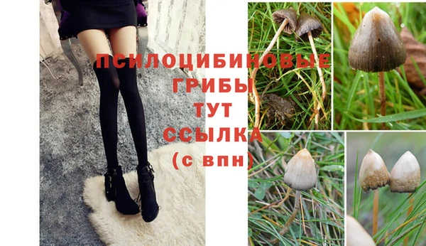 СК Алексеевка