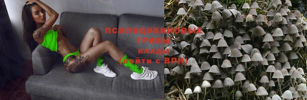синтетический гашиш Алексин
