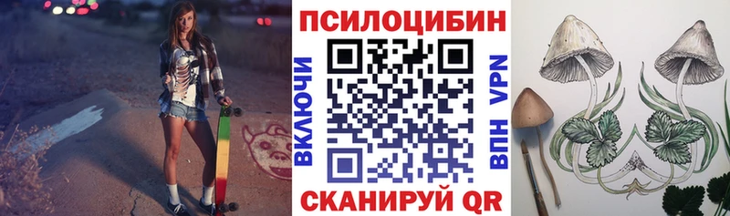 hydra tor  закладки  Бологое  Галлюциногенные грибы MAGIC MUSHROOMS 