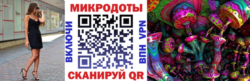 Галлюциногенные грибы Psilocybine cubensis Бологое